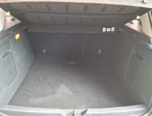 CAPTUR CINZA 10